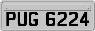 PUG6224