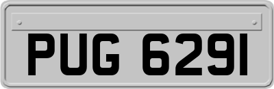 PUG6291
