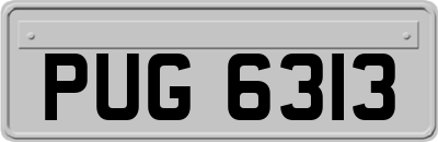 PUG6313