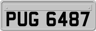 PUG6487