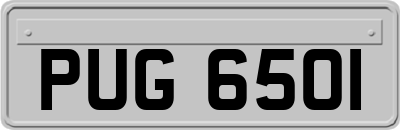 PUG6501