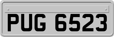 PUG6523