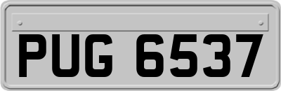PUG6537