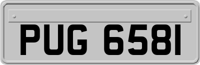 PUG6581