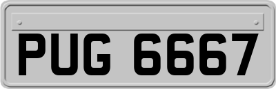 PUG6667