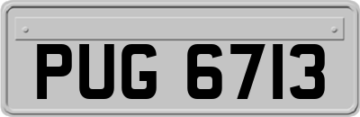 PUG6713