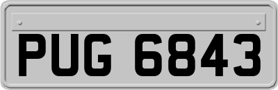 PUG6843