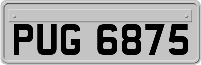 PUG6875
