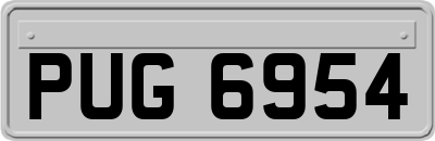 PUG6954