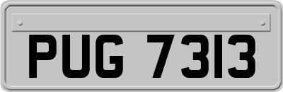PUG7313