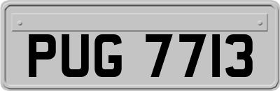 PUG7713
