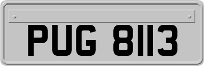 PUG8113