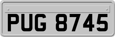 PUG8745