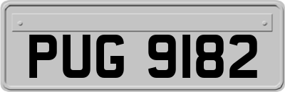 PUG9182