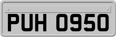 PUH0950