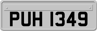 PUH1349