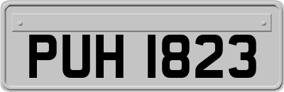 PUH1823