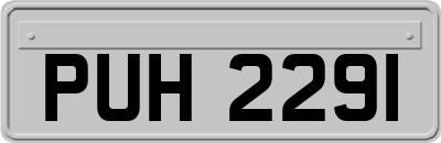 PUH2291