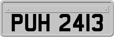 PUH2413