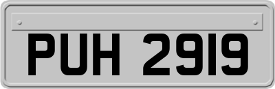 PUH2919