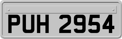 PUH2954