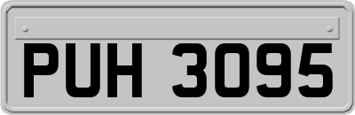 PUH3095