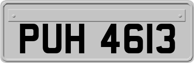 PUH4613