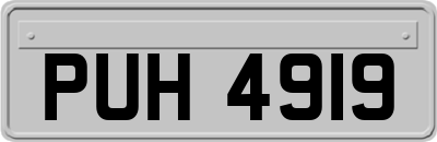 PUH4919