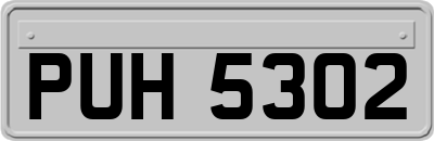 PUH5302