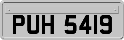 PUH5419