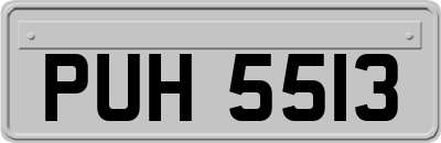PUH5513