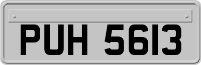 PUH5613