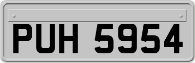 PUH5954