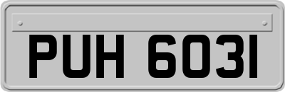PUH6031