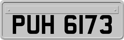 PUH6173