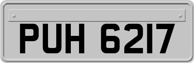PUH6217