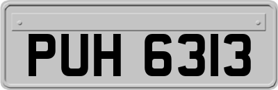 PUH6313