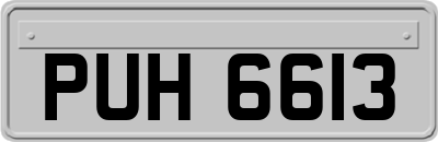 PUH6613