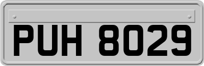 PUH8029