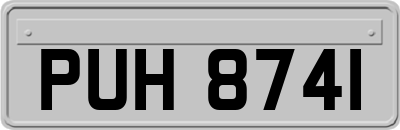 PUH8741