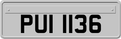 PUI1136