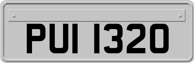 PUI1320