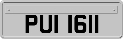 PUI1611