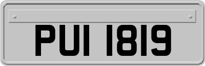 PUI1819