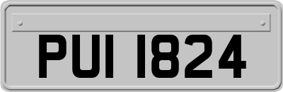 PUI1824