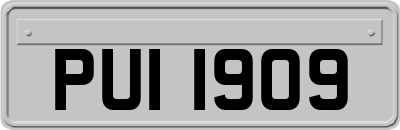 PUI1909