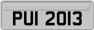 PUI2013