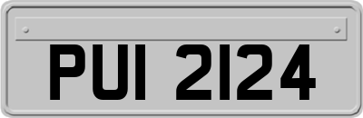 PUI2124