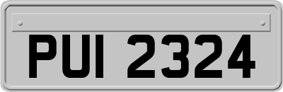 PUI2324