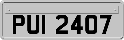 PUI2407